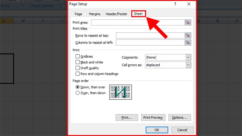 Hộp thoại Page Setup hiện lên > Chọn thẻ Sheet