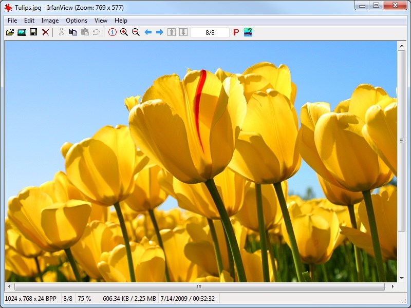 IrfanView 