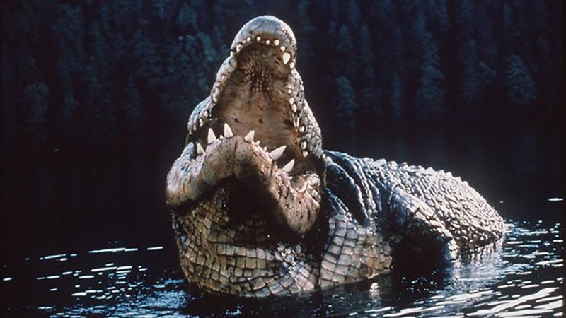 Con quái vật trong  Lake Placid