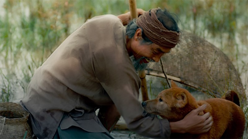 Cậu Vàng