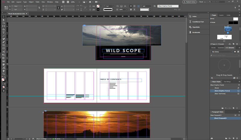InDesign