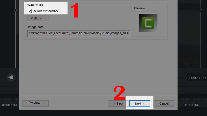 Nếu muốn xuất video trong Camtasia 9 không có logo bạn chỉ cần giữ nguyên thiết lập mặc định và nhấn Next.