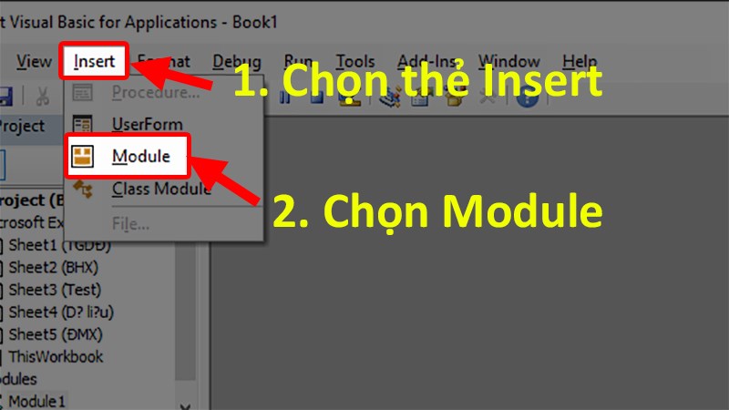 Ở hộp thoại hiện lên > Chọn thẻ Insert > Chọn Module