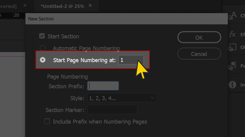 Mở Numbering and Section Options...