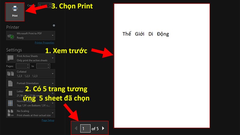 Xem trước dữ liệu được hiển thị sau khi in > Nhấn&nbsp;Print