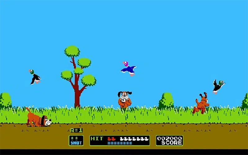 Duck hunt