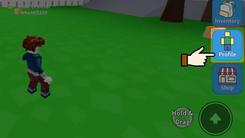 Nhấn chọn mục Profile