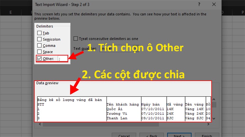 Bỏ tích toàn bộ các ô > Tích vào ô Other > Nhập dấu chấm phẩy ";" > Nhấn Next.