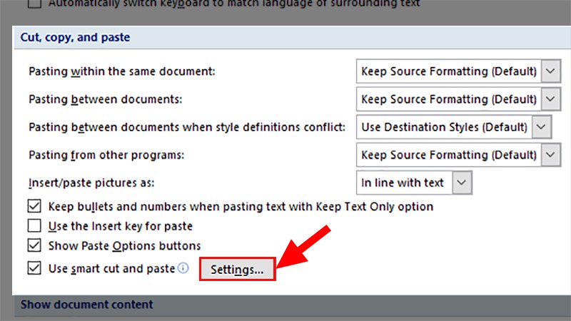 Đi đến phần Cut, copy and paste > Chọn Settings…