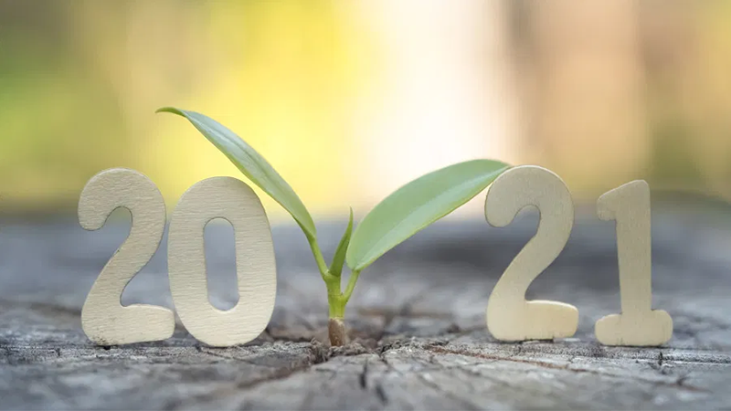 With 2021 fast approaching, we wish you both all the best and a very Happy New Year. May this year bring health, prosperity, and peace to us all?