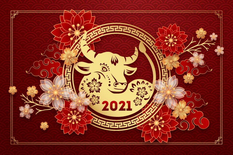 Banner tết file Vector 11