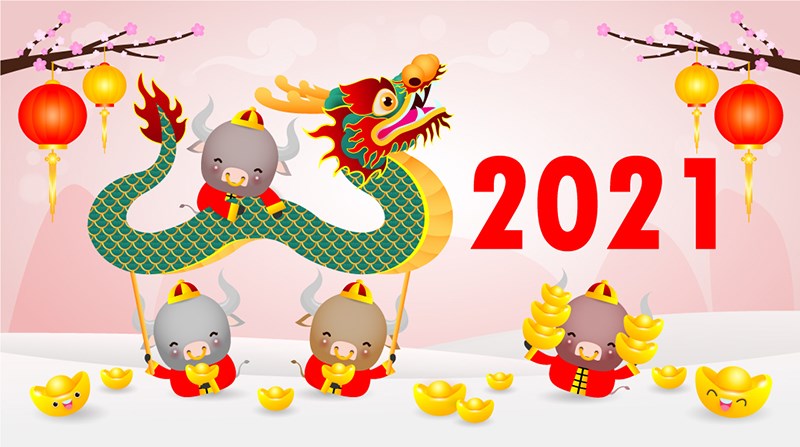 Banner tết file Vector 4