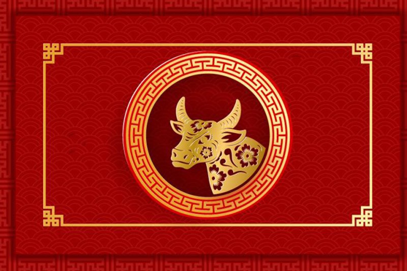 Banner tết file Vector 5