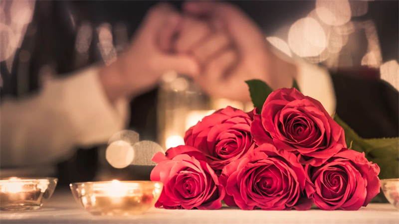 Thay vì tặng anh một đóa hồng không héo. Hay em hãy gửi anh một mối tình không phai!