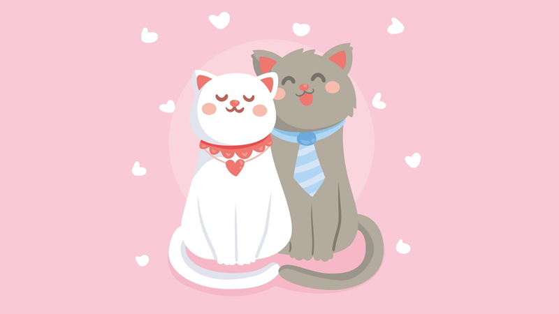 Này cái cậu cute. Làm người yêu tôi nhé!