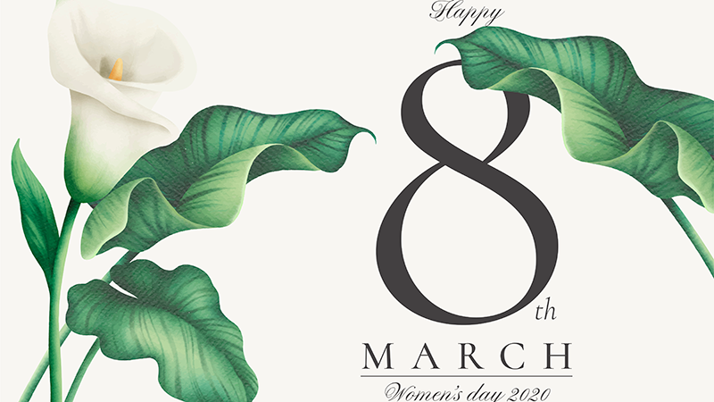 Banner 8/3 file PNG 6