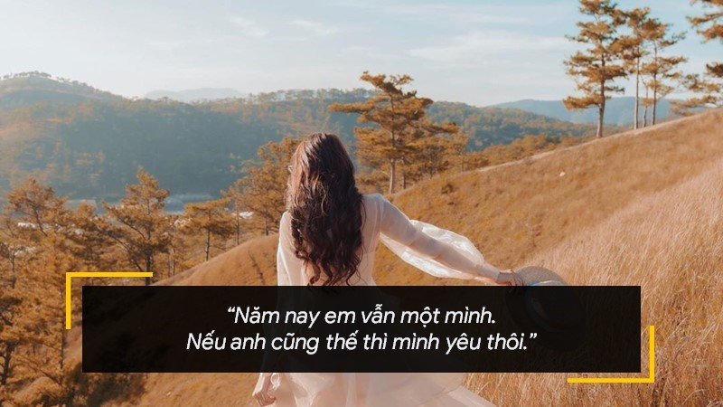 Năm nay em vẫn một mình. Nếu anh cũng thế thì mình yêu thôi.