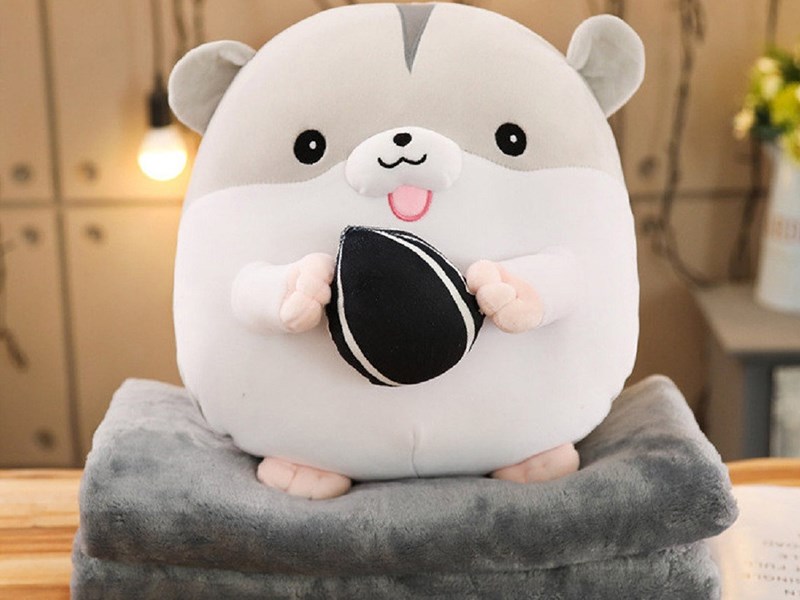 Gấu bông, gối cổ