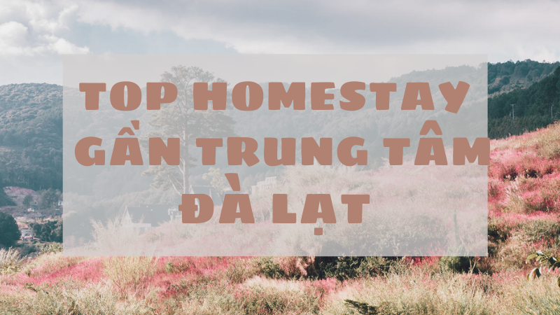 Top homestay Đà Lạt