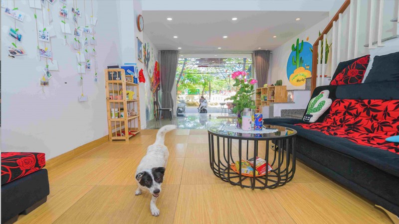 Cactus Garden Homestay Đà Nẵng