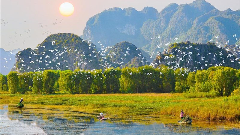 Vườn Chim Thung Nham