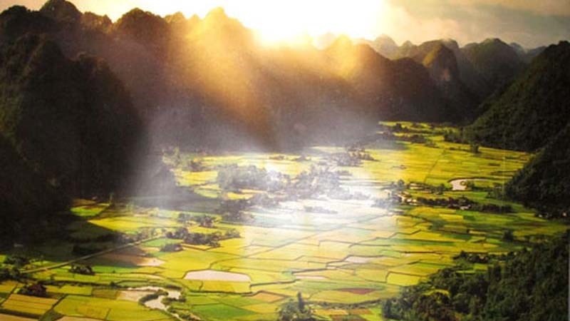 Thung Nắng