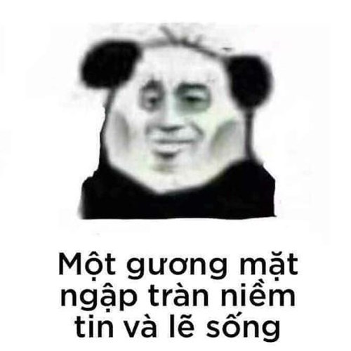 Meme gấu trúc - gương mặt ngập tràn niềm tin