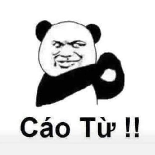 Meme gấu trúc - cáo từ