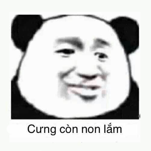 Meme gấu trúc -  cưng còn non lắm