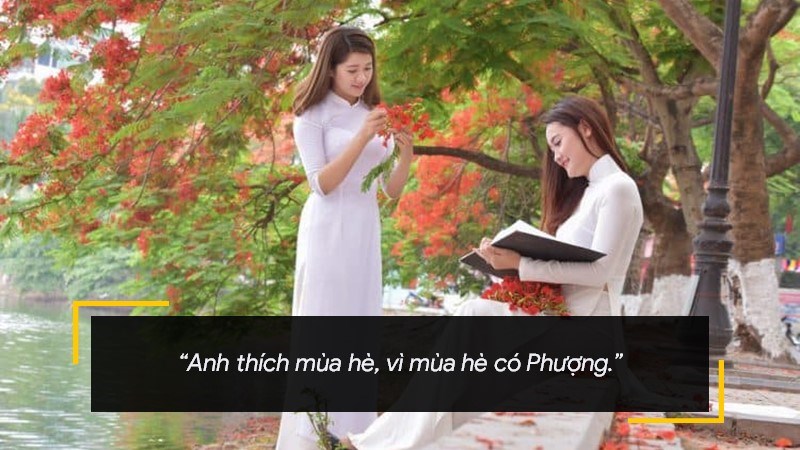 Anh thích mùa hè, vì mùa hè có Phượng.