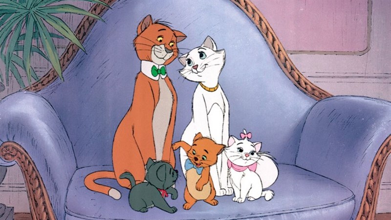 Mèo Thomas O