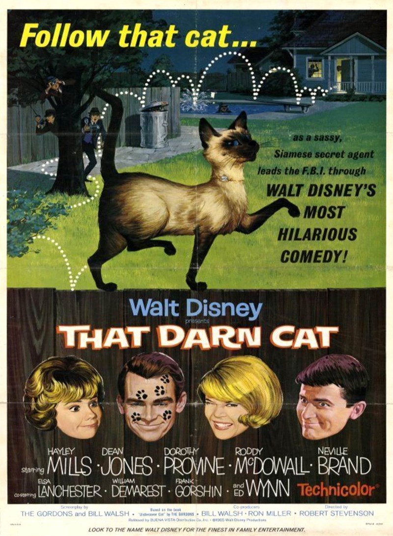 Poster phim That darn cat
