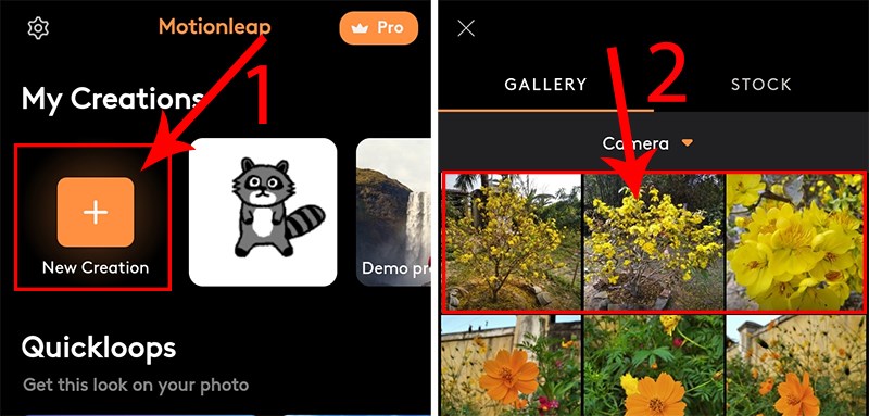 Chọn New Creation và chọn ảnh làm hiệu ứng Chọn New Creation và chọn ảnh làm hiệu ứng