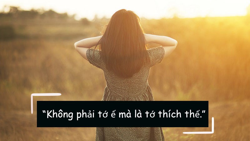 Không phải tớ ế mà là tớ thích thế