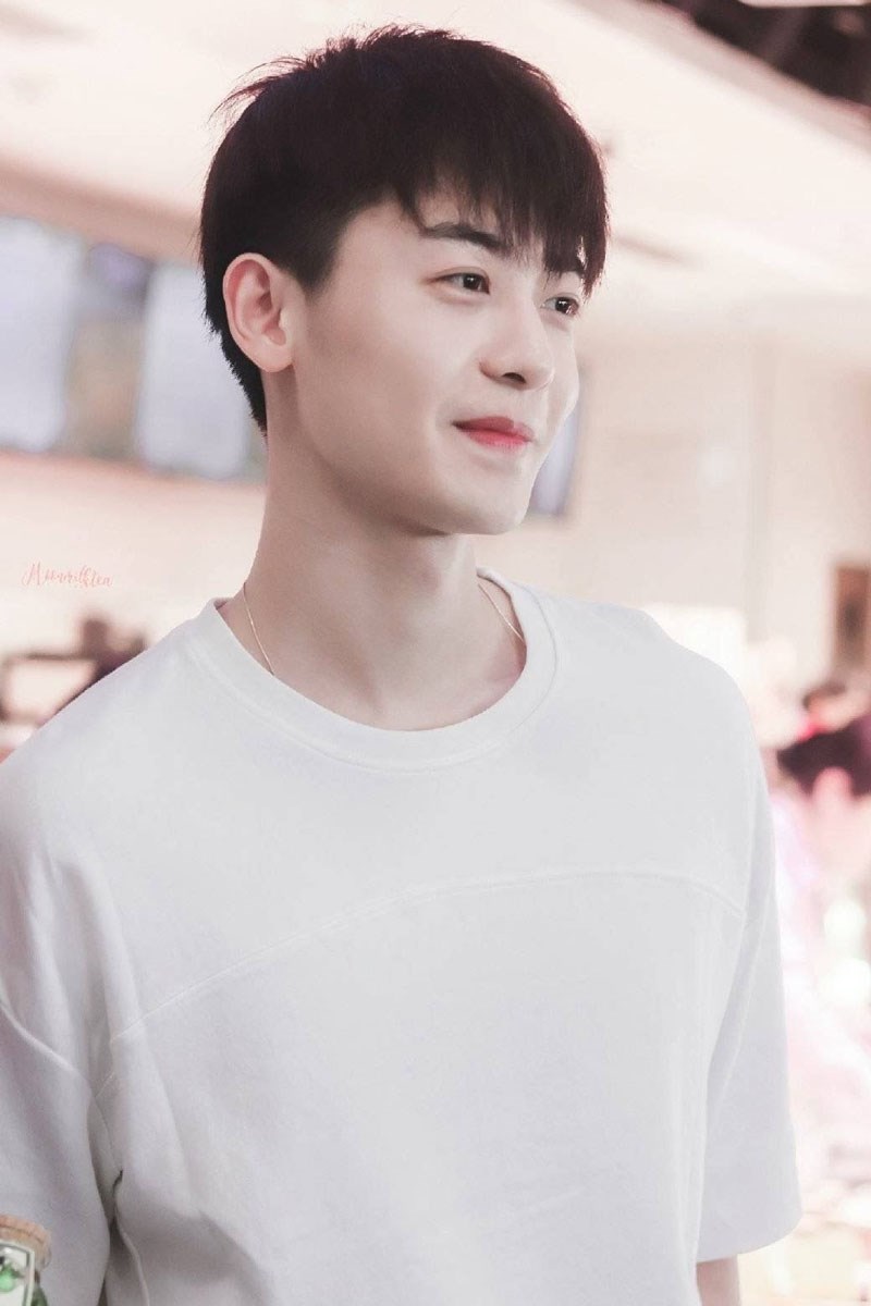 Tiểu sử Triệu Chí Vỹ