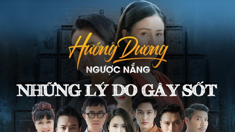 Hướng Dương Ngược Nắng và những lý do gây sốt
