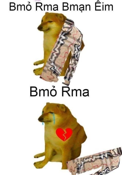 Cheems meme