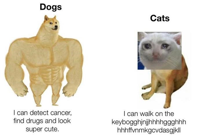Swole Doge vs. Cheems