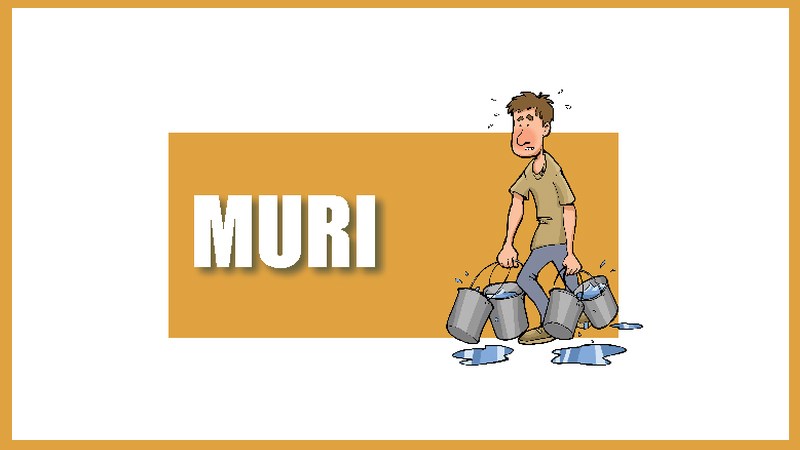 Muri