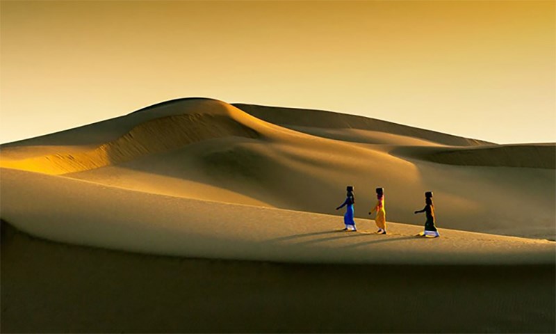 Đồi Hồng