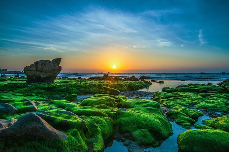 Mùa rêu ở Cổ Thạch