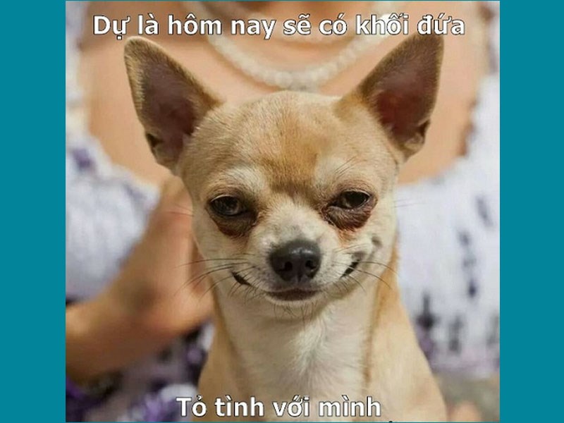 Chờ đợi ngày 1/4 đã lâu