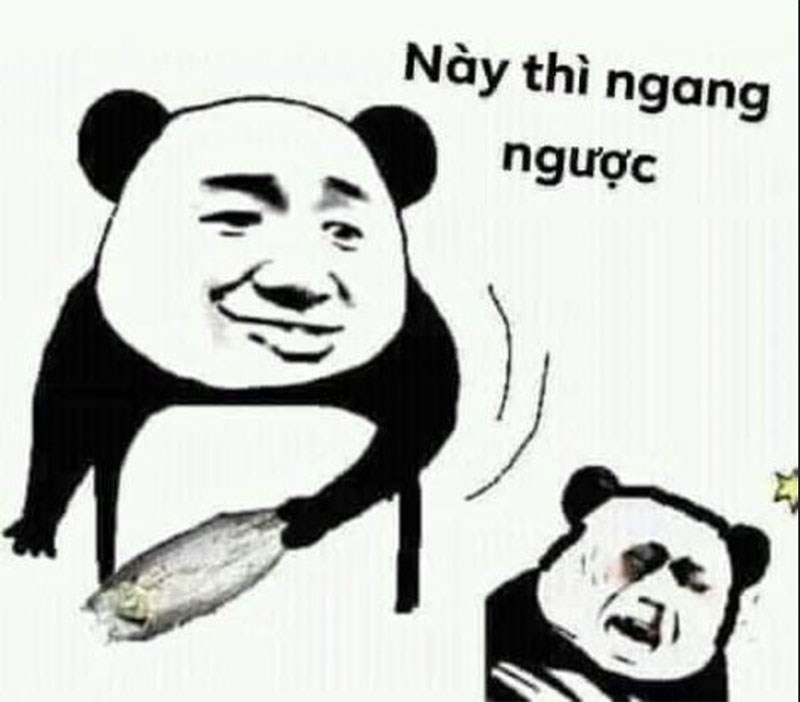 meme Gấu trúc ching chong Meme gấu trúc Ching Chong 4