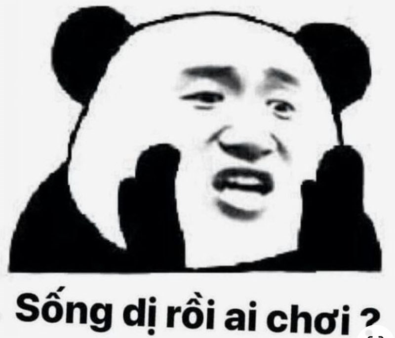 meme Gấu trúc ching chong Meme gấu trúc Ching Chong 1