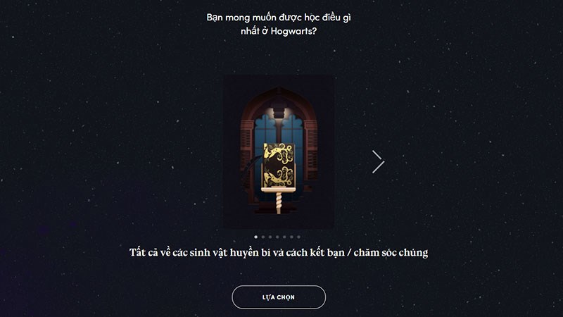 lựa chọn
