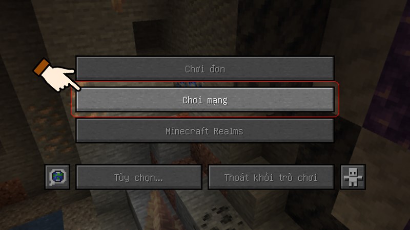 Nhấn chọn chế độ Chơi mạng (Multiplayer)