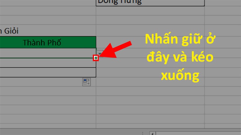 Nhấn giữ ô vuông nhỏ ở góc dưới của ô vừa nhập > Kéo xuống để áp dụng cho các ô bên dưới.
