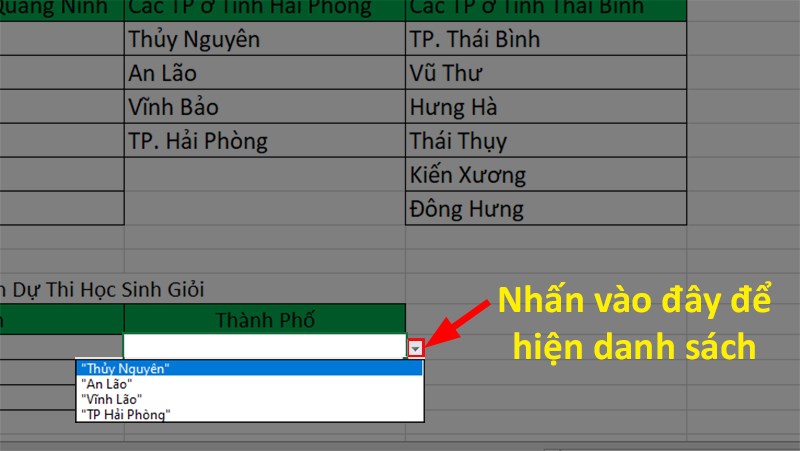 Drop List (danh sách thả xuống) sau khi tạo xong