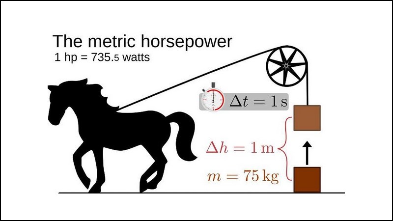 Các loại mã lực hiện nay