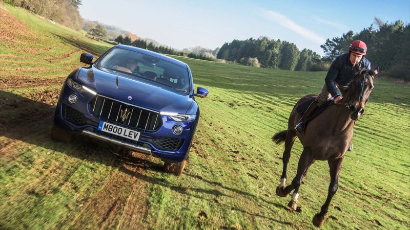 Các loại mã lực hiện nay